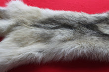 Load image into Gallery viewer, Canadian Arctic Wolf - Taxidermy Quality - WLF1041