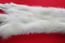 Load image into Gallery viewer, Canadian Arctic Wolf - Taxidermy Quality - WLF1041