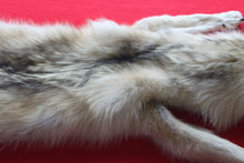 Load image into Gallery viewer, Canadian Arctic Wolf - Taxidermy Quality - WLF1042