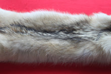 Load image into Gallery viewer, Canadian Arctic Wolf - Taxidermy Quality - WLF1042