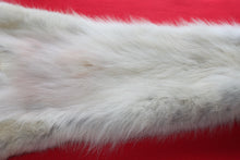 Load image into Gallery viewer, Canadian Arctic Wolf - Taxidermy Quality - WLF1042
