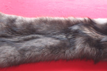 Load image into Gallery viewer, Idaho BLACK Wolf - Taxidermy Quality - WLF1044