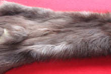 Load image into Gallery viewer, Idaho BLACK Wolf - Taxidermy Quality - WLF1044