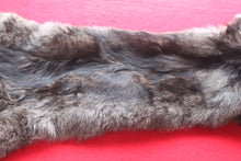 Load image into Gallery viewer, Idaho BLACK Wolf - Taxidermy Quality - WLF1045