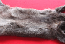 Load image into Gallery viewer, Idaho BLACK Wolf - Taxidermy Quality - WLF1045