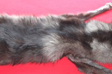 Load image into Gallery viewer, Huge Canadian Arctic BLACK Wolf - Taxidermy Quality - WLF1046