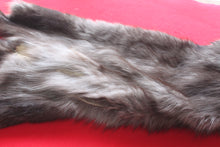 Load image into Gallery viewer, Huge Canadian Arctic BLACK Wolf - Taxidermy Quality - WLF1046