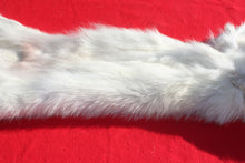 Load image into Gallery viewer, Canadian Arctic Wolf - Taxidermy Quality - WLF1049
