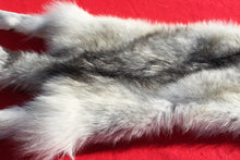 Load image into Gallery viewer, Canadian Arctic Wolf - Taxidermy Quality - WLF1050