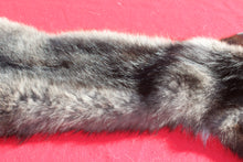 Load image into Gallery viewer, BLACK Canadian Wolf - Taxidermy Quality - WLF1051