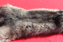 Load image into Gallery viewer, BLACK Canadian Wolf - Taxidermy Quality - WLF1051