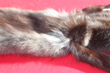Load image into Gallery viewer, BLACK Canadian Wolf - Taxidermy Quality - WLF1051