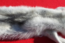 Load image into Gallery viewer, Canadian Arctic Wolf - Taxidermy Quality - WLF1052