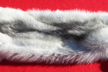 Load image into Gallery viewer, Canadian Arctic Wolf - Taxidermy Quality - WLF1052
