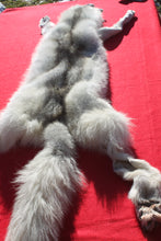 Load image into Gallery viewer, Canadian Arctic Wolf - Taxidermy Quality - WLF1052