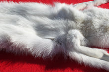 Load image into Gallery viewer, Canadian Arctic Wolf - Taxidermy Quality - WLF1052