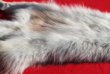 Load image into Gallery viewer, Canadian Arctic Wolf - HAS FEET AND CLAWS - WLF1054