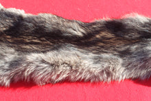 Load image into Gallery viewer, BLACK Canadian Wolf - Taxidermy Quality - WLF1056