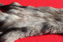 Load image into Gallery viewer, BLACK Canadian Wolf - Taxidermy Quality - WLF1056