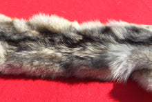 Load image into Gallery viewer, Canadian Wolf - HAS FEET AND CLAWS - WLF1057