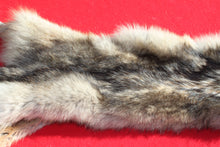 Load image into Gallery viewer, Canadian Wolf - HAS FEET AND CLAWS - WLF1057
