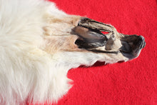 Load image into Gallery viewer, Canadian Arctic Wolf - HAS FEET AND CLAWS - WLF1058
