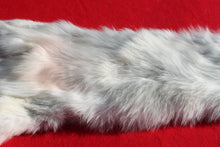Load image into Gallery viewer, Canadian Arctic Wolf - HAS FEET AND CLAWS - WLF1058