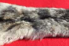 Load image into Gallery viewer, Canadian Wolf - Taxidermy Quality - WLF1059