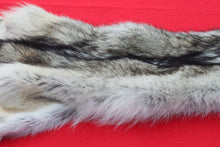 Load image into Gallery viewer, Canadian Arctic Wolf - HAS FEET ANC CLAWS - WLF1063