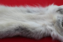 Load image into Gallery viewer, Canadian Arctic Wolf - HAS FEET ANC CLAWS - WLF1063