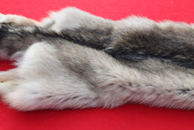 Load image into Gallery viewer, Canadian Wolf - Taxidermy Quality - WLF1064
