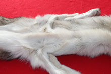 Load image into Gallery viewer, Canadian Wolf - Taxidermy Quality - WLF1064