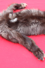 Load image into Gallery viewer, BLACK Canadian Wolf - Taxidermy Quality - WLF1065