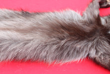 Load image into Gallery viewer, BLACK Canadian Wolf - Taxidermy Quality - WLF1065