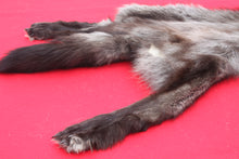 Load image into Gallery viewer, BLACK Canadian Wolf - Taxidermy Quality - WLF1065