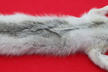 Load image into Gallery viewer, Canadian Arctic Wolf - Taxidermy Quality - WLF1068