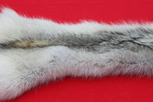 Load image into Gallery viewer, Canadian Arctic Wolf - Taxidermy Quality - WLF1068