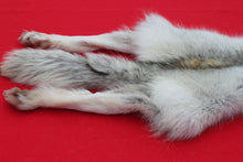 Load image into Gallery viewer, Canadian Arctic Wolf - Taxidermy Quality - WLF1068