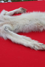 Load image into Gallery viewer, Canadian Arctic Wolf - Taxidermy Quality - WLF1068