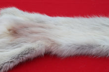 Load image into Gallery viewer, Canadian Arctic Wolf - Taxidermy Quality - WLF1068