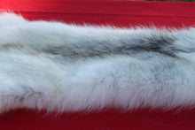 Load image into Gallery viewer, HUGE WHITE ALPHA MALE ARCTIC WOLF - TAXIDERMY QUALITY - WLF1072