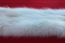 Load image into Gallery viewer, HUGE WHITE ALPHA MALE ARCTIC WOLF - TAXIDERMY QUALITY - WLF1072