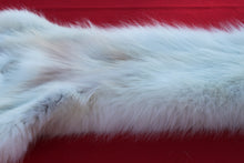 Load image into Gallery viewer, HUGE WHITE ALPHA MALE ARCTIC WOLF - TAXIDERMY QUALITY - WLF1072