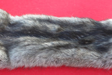 Load image into Gallery viewer, BLACK / SILVER ARCTIC WOLF - TAXIDERMY QUALITY - WLF1073