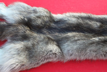Load image into Gallery viewer, BLACK / SILVER ARCTIC WOLF - TAXIDERMY QUALITY - WLF1073