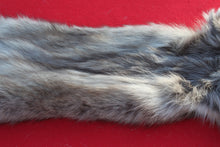 Load image into Gallery viewer, BLACK / SILVER ARCTIC WOLF - TAXIDERMY QUALITY - WLF1073