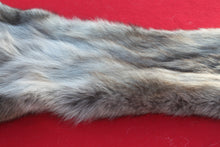 Load image into Gallery viewer, BLACK / SILVER ARCTIC WOLF - TAXIDERMY QUALITY - WLF1073