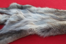 Load image into Gallery viewer, BLACK / SILVER ARCTIC WOLF - TAXIDERMY QUALITY - WLF1073