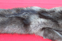 Load image into Gallery viewer, SUPER NICE BLACK FEMALE ARCTIC WOLF - TAXIDERMY QUALITY - WLF1075