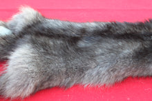 Load image into Gallery viewer, SUPER NICE BLACK FEMALE ARCTIC WOLF - TAXIDERMY QUALITY - WLF1075
